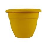 The HC Companies Caribbean Planter Pot - Outdoor & Indoor Plant Pot with Drainage Hole & Plug - Rolled Rim Plastic Pots for Plants & Flowers - Decorative Plant Pot (14" Honey, Pack of 1)