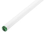 40W T12 Bi-Pin Daylight Fluorescent Light Bulbs - 48", 2 Pack