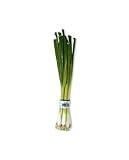 Green Onions (Scallions), One Bunch