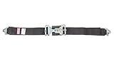 RJS Racing Equipment 15002001 Lap Belt , Black