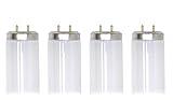 SYLVANIA (case of 4) Sylvania F20T12/DSW 23510, Designer Soft White 24 inch Fluorescent Tube