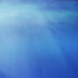 Swim For Me - Edit