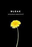 Bleak: A Story of Bullying, Rage, and Survival