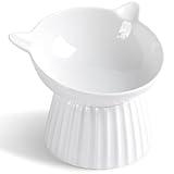 Wellbro Ceramic Raised Cat Bowl，Tilted Raised Cat Bowl Anti Vomit Cat Bowls for Indoor Cats Whisker Friendly Pet Feeder for Cats Puppies, Microwave and Dishwasher Safe