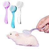 KUNBIUH 3PC Small Animal Bath Brush with Lid Soft Cleansing Brush Massage Combs for Hedgehog Guinea Pig Rabbit Chinchilla Ferret Small Animal Grooming Tool Cleaning Supplies