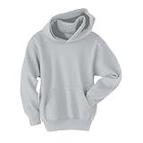 Hanes Boys' Little Eco Smart Pullover Hoodie, Light Steel, x Small