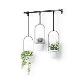 Umbra Triflora Hanging Planter for Window, Indoor Herb Garden, Set of 3, White/Black