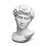 YUEOECOR 12in Greek Statue of David, Classic Roman Mini Bust Greek Mythology Sculpture for Home Decor