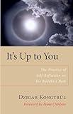 It's Up to You: The Practice of Self-Reflection on the Buddhist Path