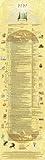 Tetra Scroll | Bible and Historical Timeline for Religious Study | Educational Resources | Vinyl (18x63)