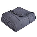 Topcee Weighted Blanket (20lbs 60"x80" Queen Size) for Adult All-Season Summer Fall Winter Cooling Breathable Heavy Microfiber Material with Glass Beads Big Blanket Soft Thick Comfort