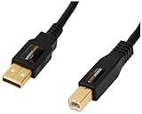 Amazon Basics USB-A to USB-B 2.0 Cable with 480 Mbps Transfer Speed for Printer or External Hard Drive, Gold-Plated Connectors, 10 Foot, Black