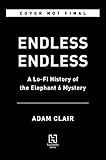 Endless Endless: A Lo-Fi History of the Elephant 6 Mystery