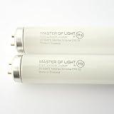 F20T12/D (2 Pack) 2ft Fluorescent Tube Light Bulb 20 Watt Daylight T12 20W 6500K 1.5 inch Diameter Replaces F20T12/D/ECO/UPC F20T12/SUN/ECO F20T12/D/ECO F20T12/D/ALTO (2)