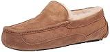 UGG Men's Ascot Slipper, Chestnut, 12