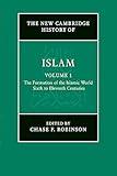 The New Cambridge History of Islam: Volume 1, The Formation of the Islamic World, Sixth to Eleventh Centuries