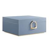 SONGMICS 2-Layer Jewelry Box, Jewelry Organizer with Handle, Removable Jewelry Tray, Jewelry Storage, Floating Effect, 8.1 x 9.4 x 4.3 Inches, Gift Idea, Misty Blue UJBC165Q01