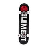 Element Popsicle Skateboard Blazin 31" Standard Skateboards with 5" Aluminum Trucks, 9 Layer NE Maple, Ideal for All Experience Levels