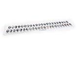 US Presidents Ruler (1, Light)
