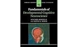 Fundamentals of Developmental Cognitive Neuroscience (Cambridge Fundamentals of Neuroscience in Psychology)