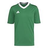 adidas Kids' Entrada 22 Jersey, Team Green/White, Medium