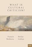 What Is Cultural Criticism?