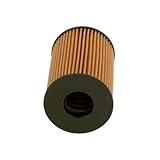 SHENLI-AUTO Rep# 11425A33C43 Oil Grid 1pc/Set