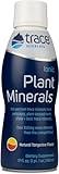 Trace Minerals | Liqiud Ionic Plant Minerals | Dietary Supplement | Certified Vegan, Non GMO, Gluten Free, BPA Free, Third Party Tested | Tangerine | 17 Fl Oz