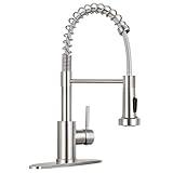 HGN Kitchen Faucet with Pull Down Sprayer,Commercial Single Handle Kitchen Sink Faucets for Farmhouse Camper Laundry Utility Rv Wet Bar Sinks Brushed Nickel