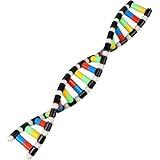 iplusmile DNA Double Helix Structure Models Kit Biological Science Popularization Teaching Aid for DNA Assembling, Educational Learning for School Student