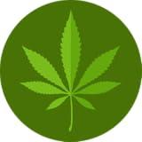 Pictorial guide of medicinal plants