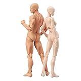 Sonhomay 2Pcs Artists Manikin Drawing Figure Mannequin Jointed Male and Female Mannequin Cool Action Figure Stop Motion Figure with Joints Model Human Body for Sketching Painting Artists Home Decor