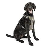 Kurgo Impact Dog Car Harness - Crash Tested Pet Harness - Premium Dog Car Safety - Padded Chest Support - Tubular Webbing Construction - High Strength Steel Buckles - X-Large