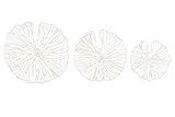 Creative Co-Op Handmade White Coral Shaped Paper & Metal Décor (Set of 3 Sizes) Wall Art