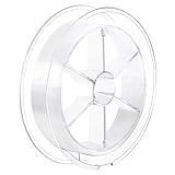 DAZLUTE Clear Fishing Line for Hanging, 328 ft Nylon Rope Fishing Wire Invisible Braid, String Strong Monofilament Line for Crafts, Beading and Decorations(0.3mm)
