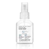 GIOVANNI Shine of the Times Finishing High-Gloss Hair Mist - Anti Frizz Hair Products, Color Safe, Salon Quality, Cruelty-Free, No Parabens, Infused with Natural Botanical Ingredients - 4.3 oz