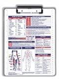 Physical Therapy/Occupational Therapy/Anatomy Reference Clipboard with Wire Clip