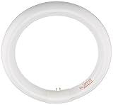 TCP CFL Circline Bulb – Soft White 2700K (120W Equivalent) T9 Circline Lamp