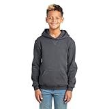 Russell Athletic Boys Dri-Power Fleece and Sweatshirts Hoodie, Hoodie - Black Heather, Medium US