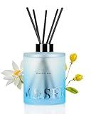 M&SENSE Citrus & Ylang Scented Reed Diffuser-16.9 fl oz Natural Essential Oil Diffuser with Sticks, Non-Toxic Home Fragrance Refreshing Air Gift for Spa Bedroom Decor