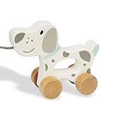 WoodenEdu Baby Toys Car,Wooden Pull Along Toddler Toy, Developmental Toy for 1 Year Old Girl Boy Birthday Gift (Dog)