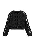 CIDER Cropped Sweaters for Women Knit Round Neckline Hollow Out Long Sleeve Crop Top Sweaters: Black, 2XL