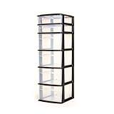 HOMZ 6 Drawer Plastic Organizer for Home and Office Supply Storage, Clear/Black