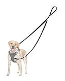 PetBonus Two Point Control Dog Leash, Works with No Pull Harnesses, No Tangle Training Leashes, Soft Padded and Reflective Walking Lead, Converts to Single Lead for Medium Large Dogs (Black)