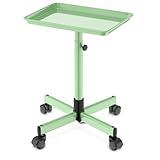 DEER BEAUTY Salon Tray on Wheels - Premium Aluminum Tattoo Tray Rolling Trolley - Adjustable Salon Service Rolling Tray Hairdresser Cart with Clinic Spa Rolling Tray Wheels (Tender Green)