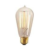 Bulbrite 136019 Pack of (2) 60 Watt Antique Clear Dimmable ST18 Shaped Medium (E, Antique Clear