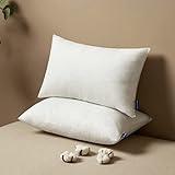 MIULEE 12x20 Pillow Inserts Set of 2, Rectangle Decorative Throw Pillow Premium Fluffy Lumbar Pillow Forms Stuffer for Living Room Sofa Couch Bed