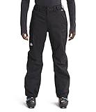 THE NORTH FACE Men's Freedom Snowpant, TNF Black, Large Regular