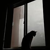 Relaxing rain sound, Improve your mental health, Focus on study and medatation