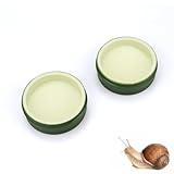 2 Pack Snail Food and Water Bowl for Land Snails Pet Snail Calcium Bowl Snail Feeder Dish Pet Land Snail Supplies